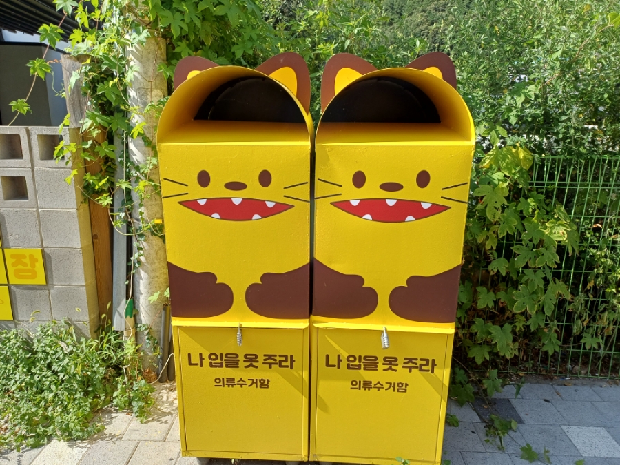 빽다방강원 이미지