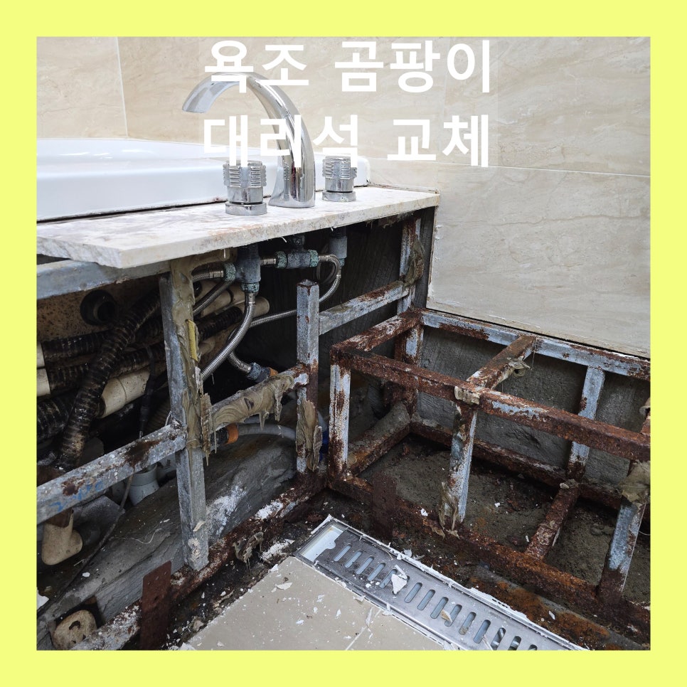 데이비드리페어 이미지