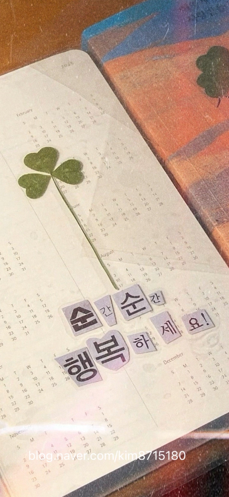 블랙루머다이오트 이미지