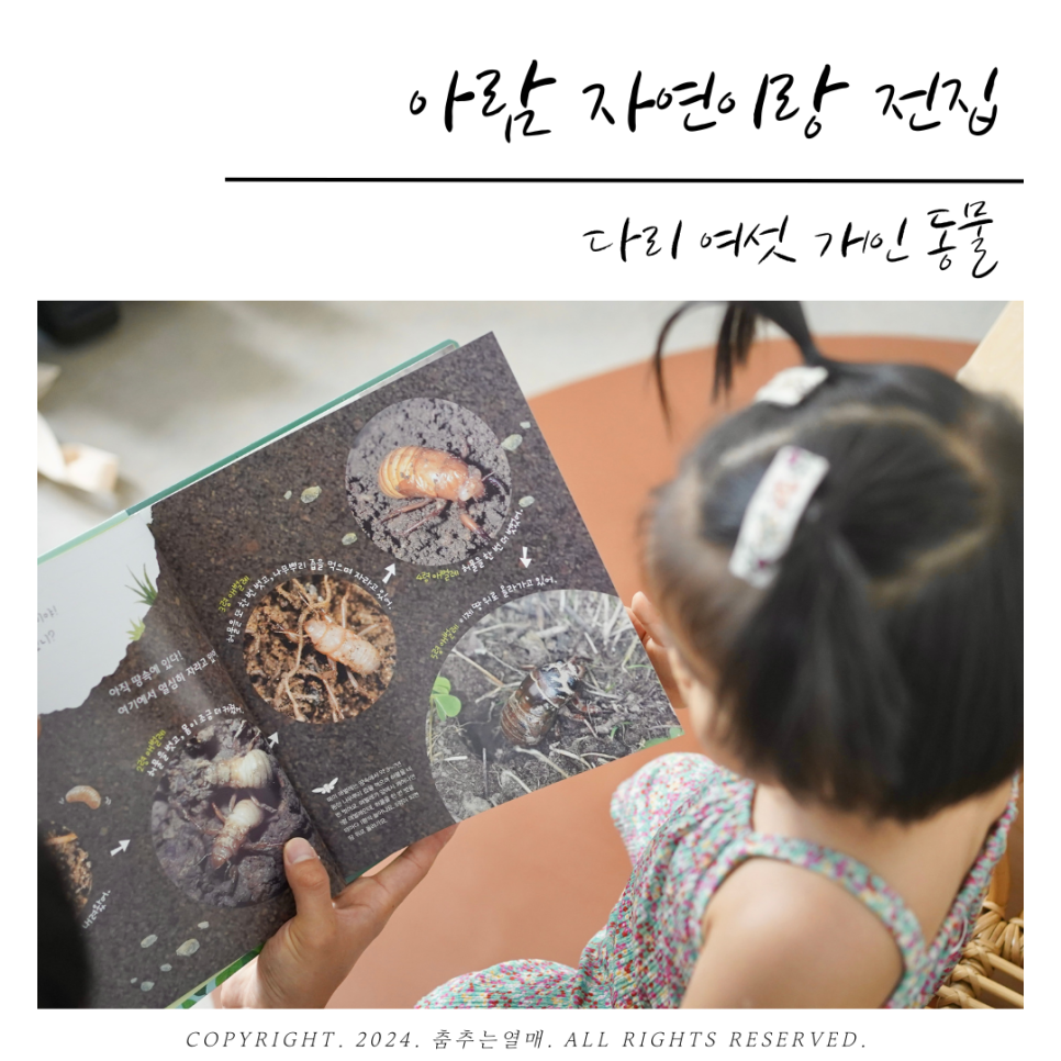 (주)참아람 이미지