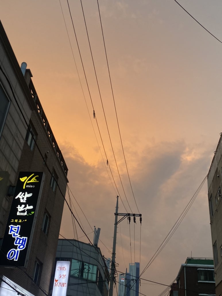 (주)정일품 이미지