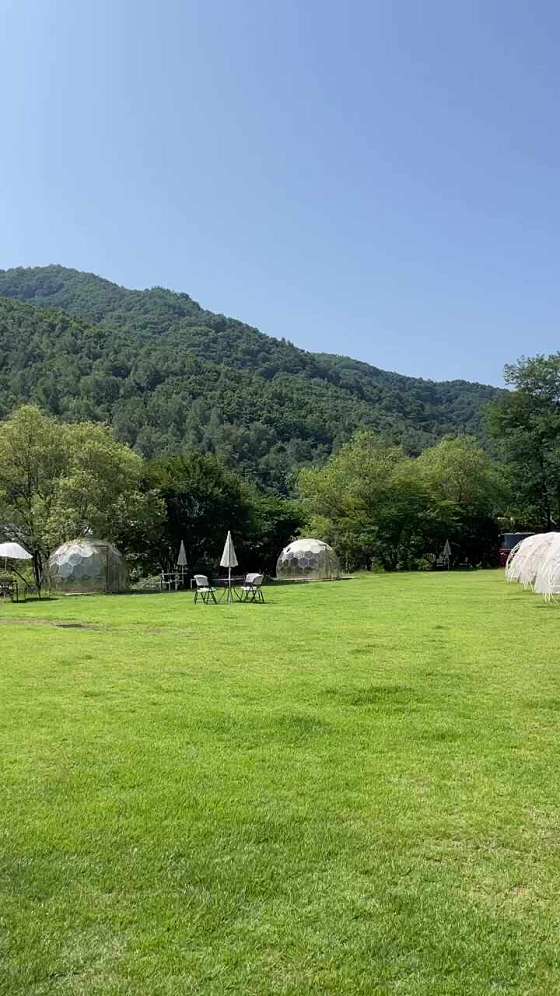 카페서행 이미지