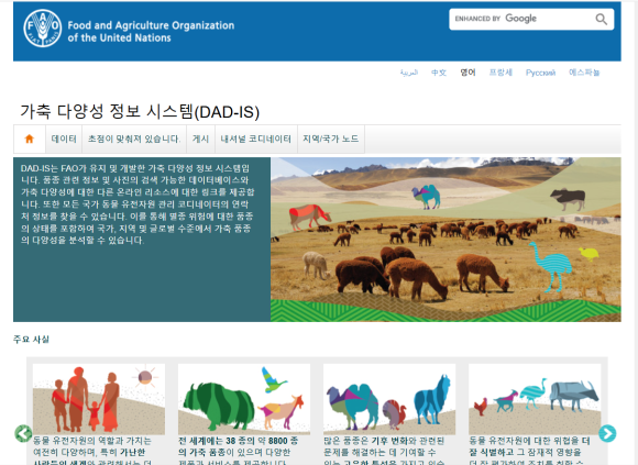 하나정보시스템 이미지
