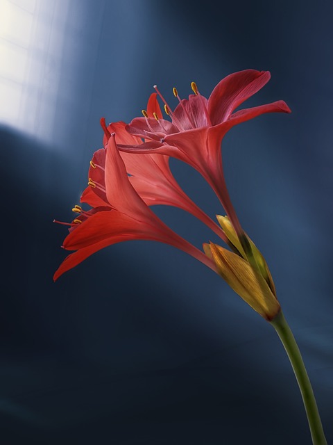 송림다방 이미지