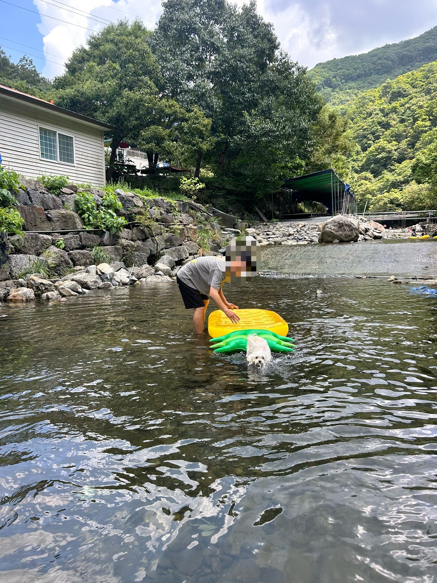백운상회 이미지