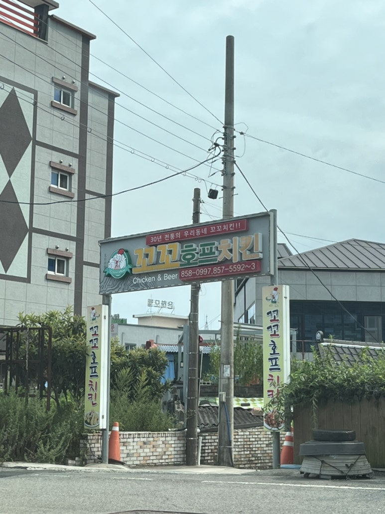 꼬꼬호프치킨 이미지