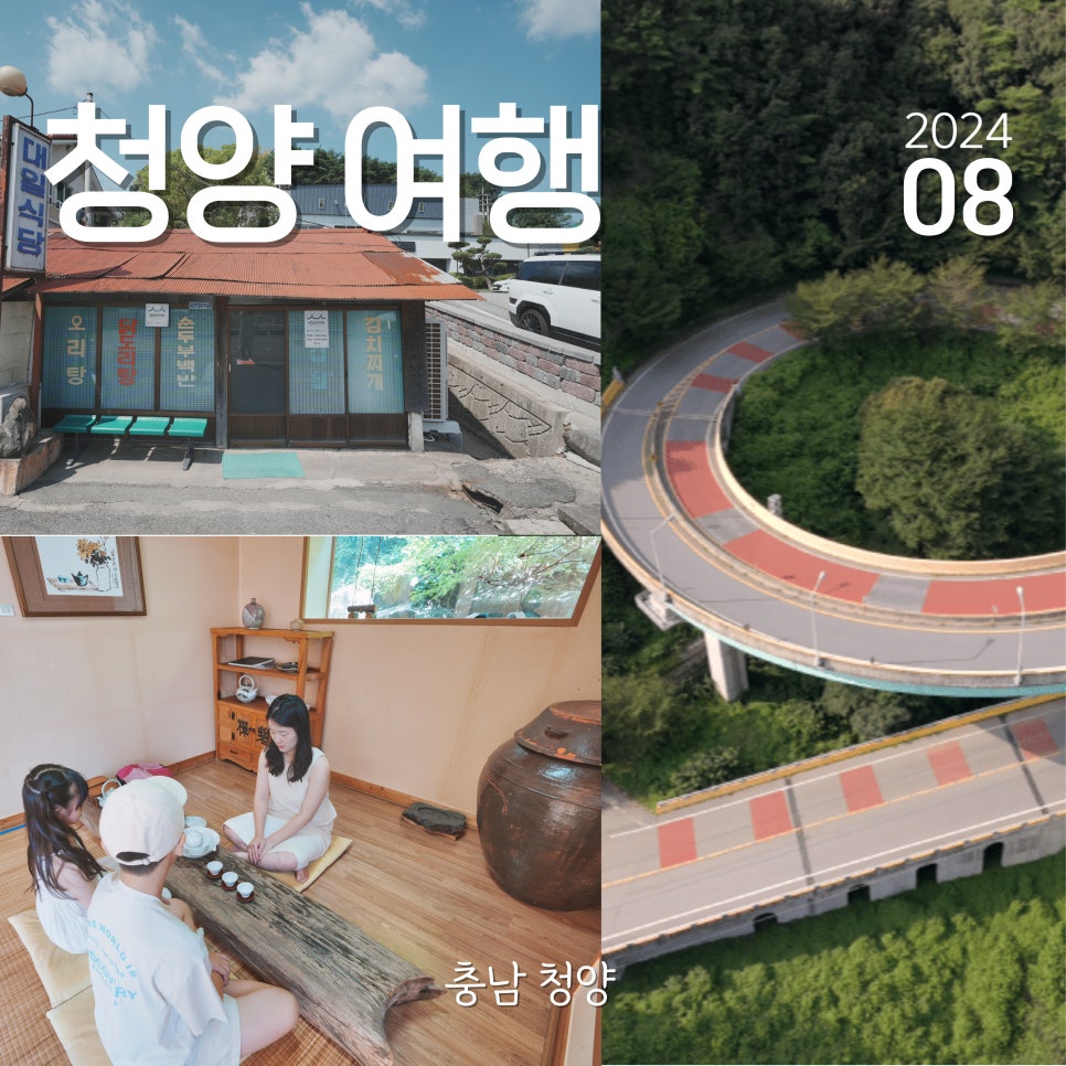 온직다원 이미지