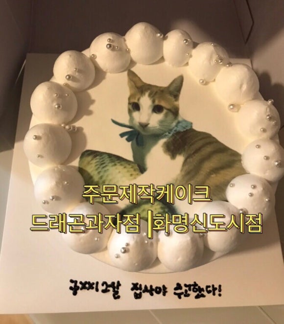 드래곤과자점 이미지