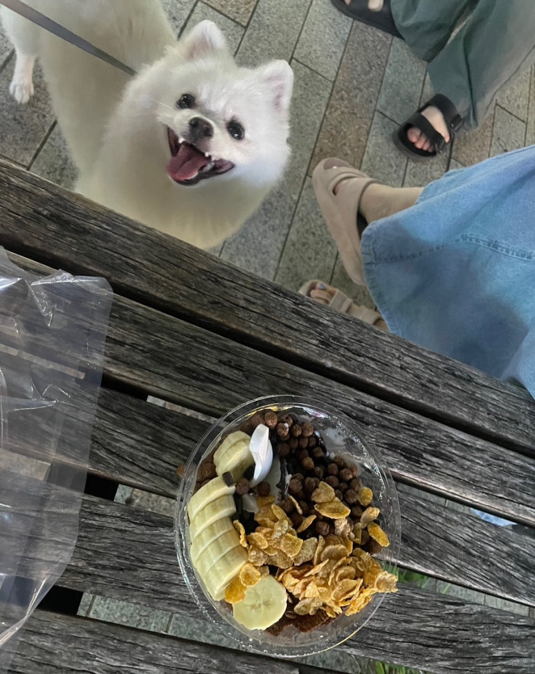 스테이아웃도어스 이미지