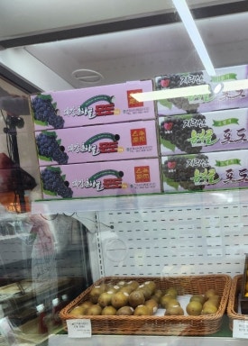 민's싱쿵달쿵fruits 이미지