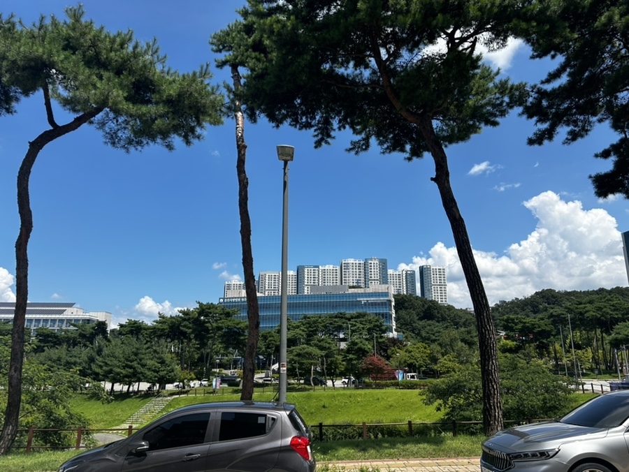 호동칼국수 이미지