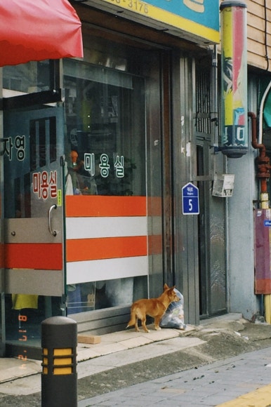 꽃동산문구 이미지