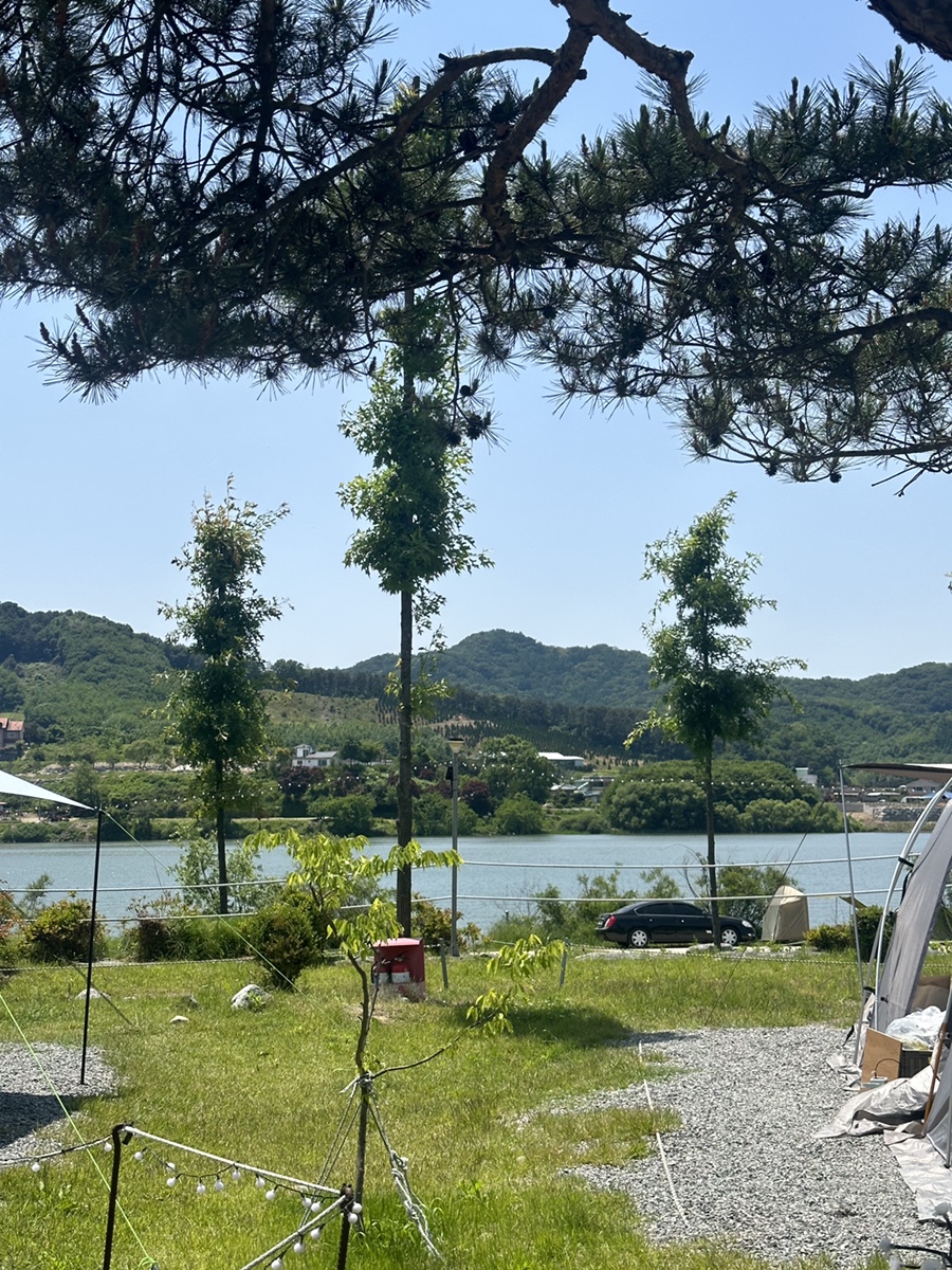 탄금호 야영장 이미지