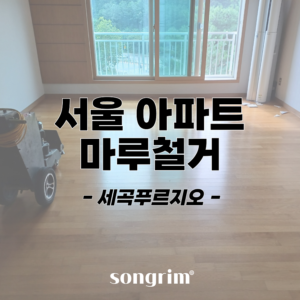 송림경기지사 이미지