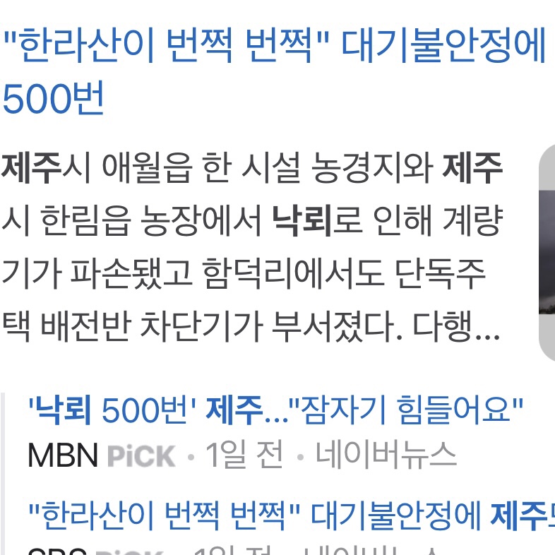 젤라정 이미지
