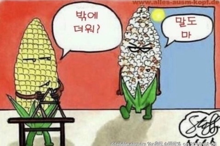 여느날 이미지