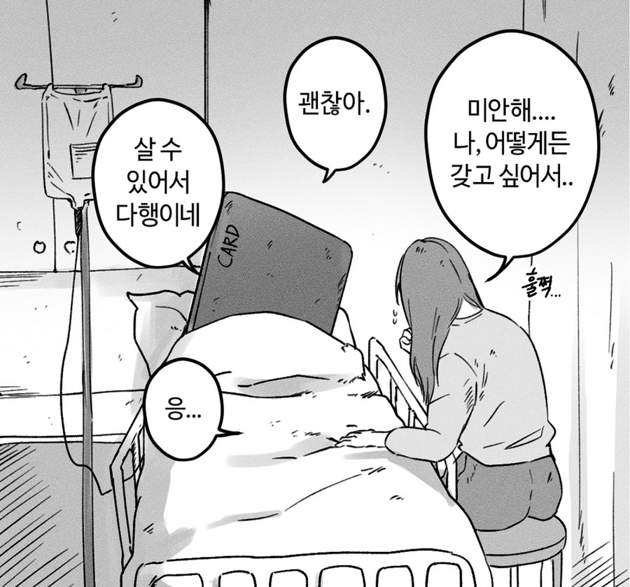 수디 이미지