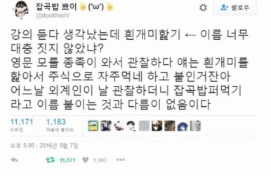 시크릿챔버 이미지
