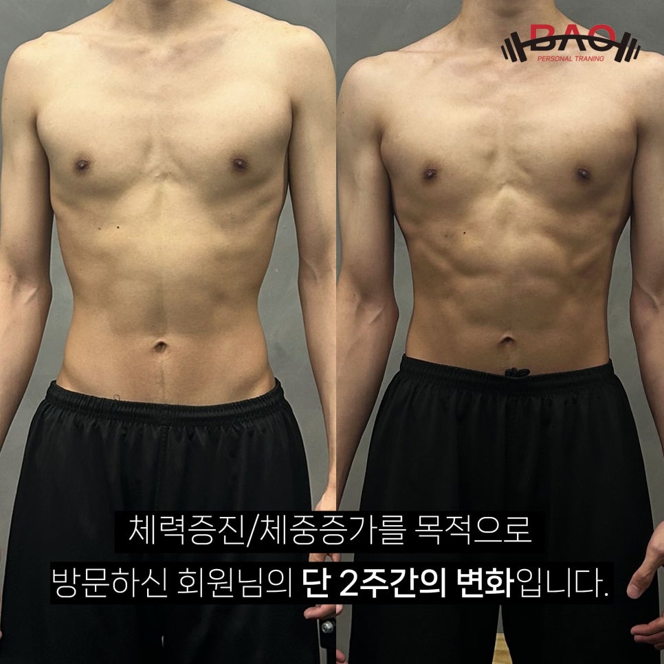 바오핏가락문정 이미지