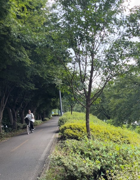 오프디 이미지