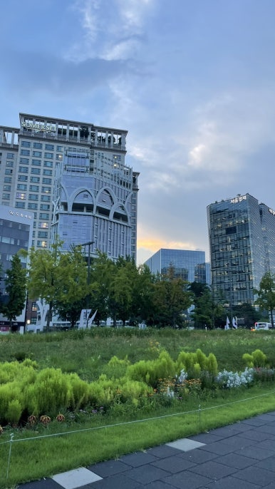 밀양손만두 이미지