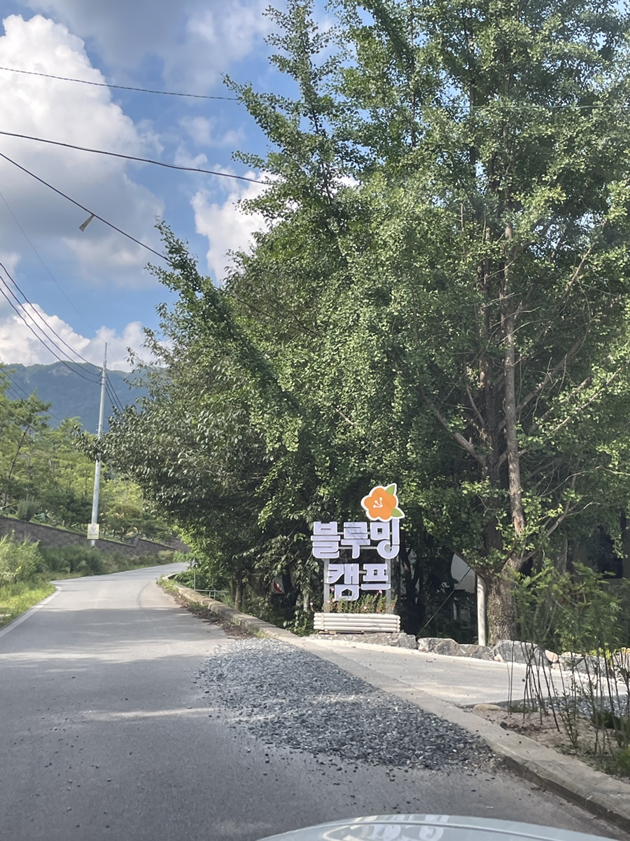 블루밍캠프 이미지