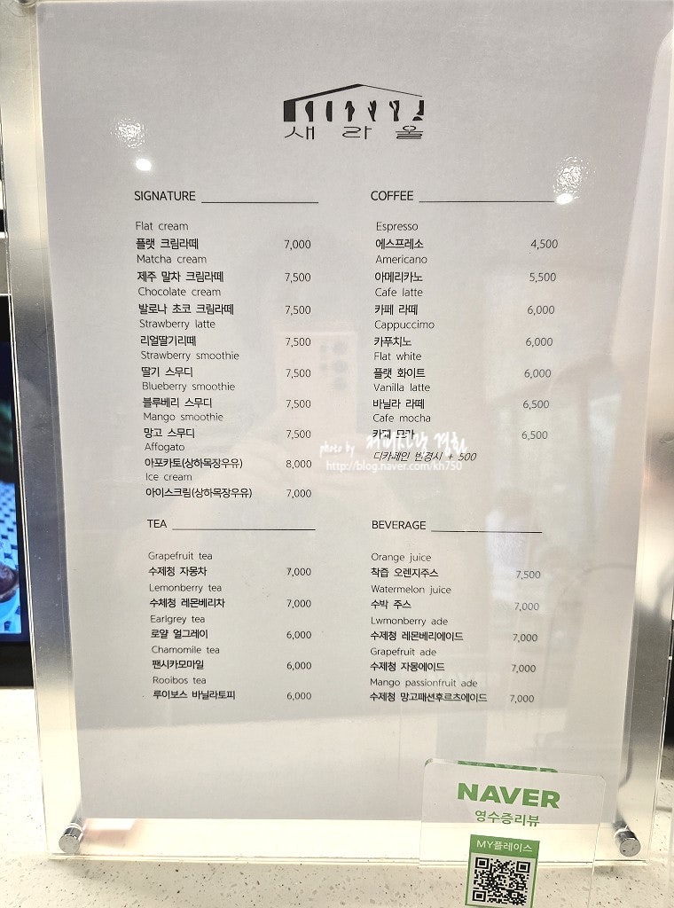 티시젠 이미지