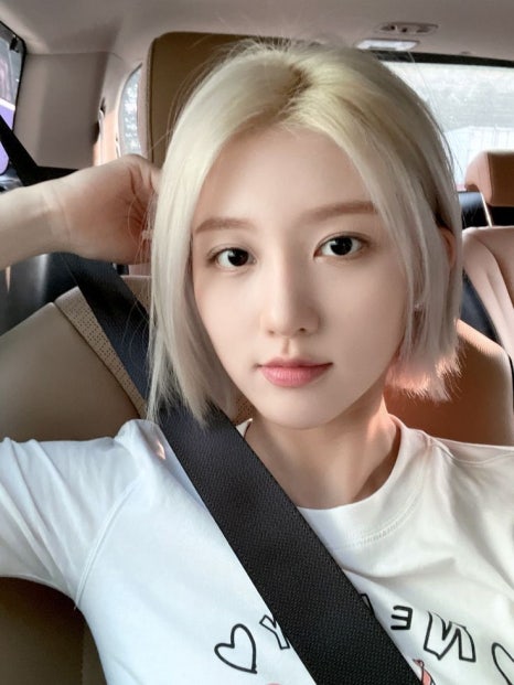 퍼블릭헤어 이미지