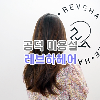 레브하헤어 이미지