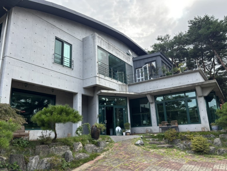 금베이숲 이미지