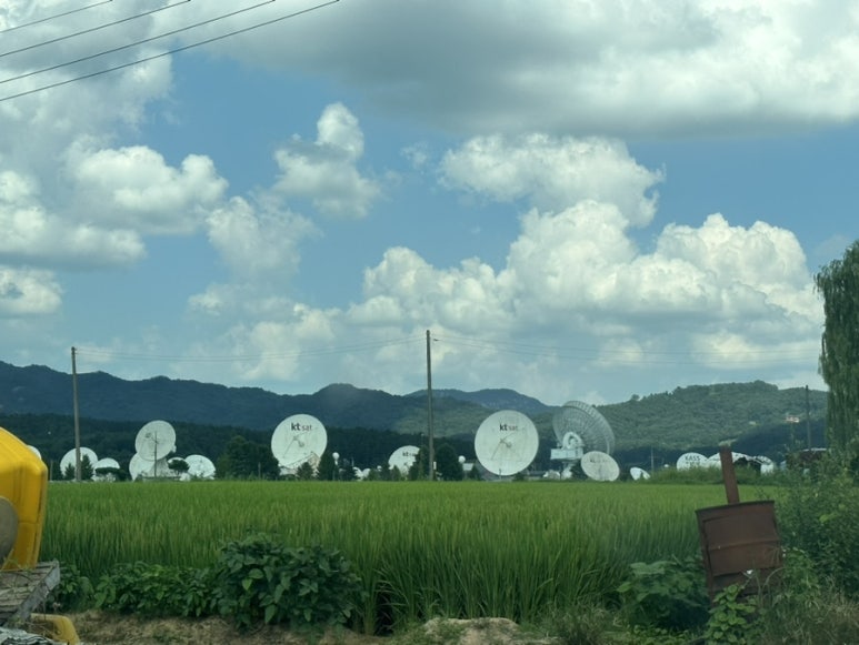 왕통신 이미지