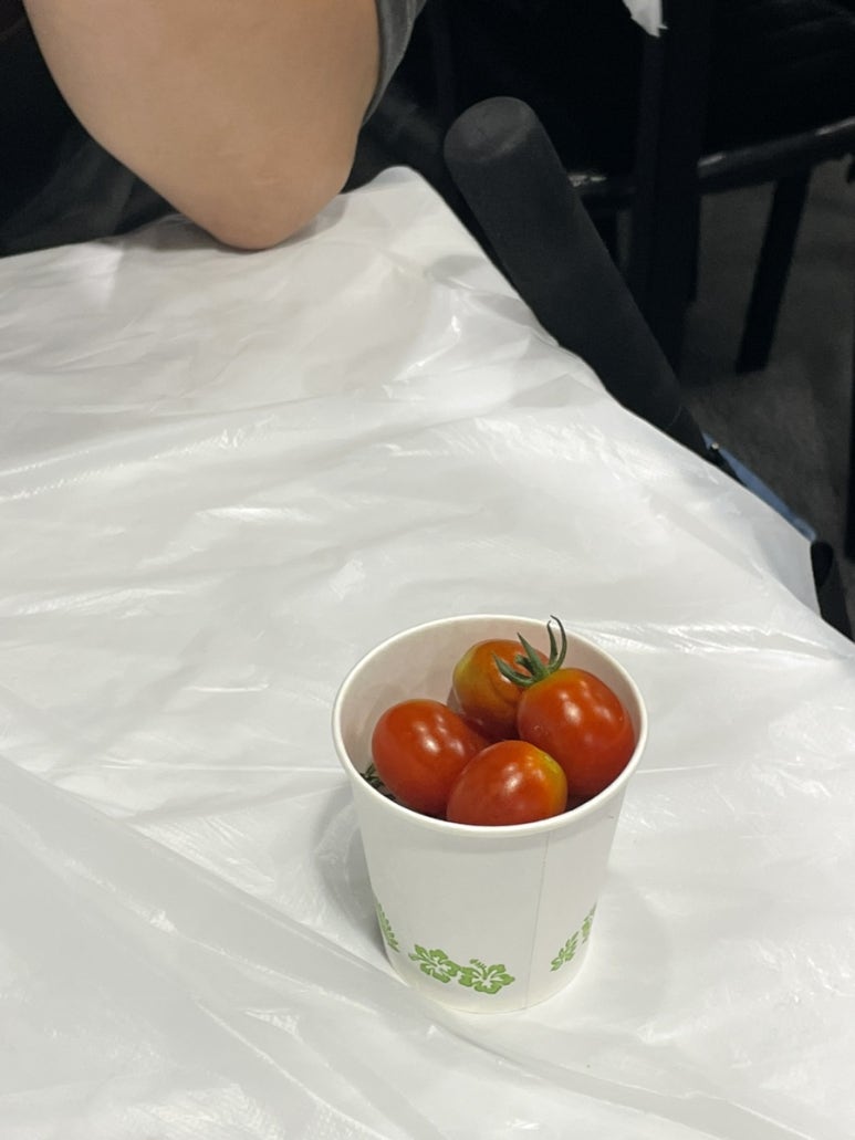삼성식당오또 이미지