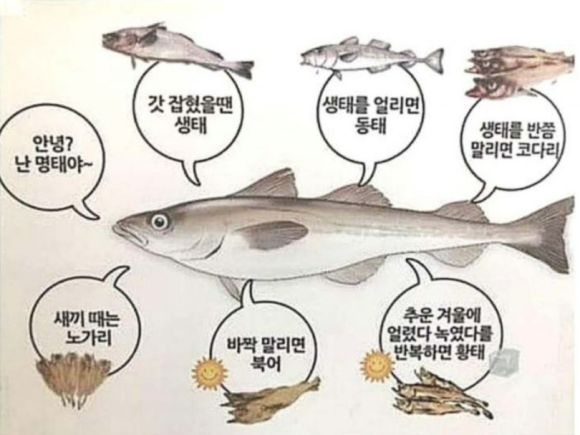 향숙이네식당 이미지