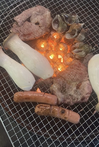웰컴독 이미지
