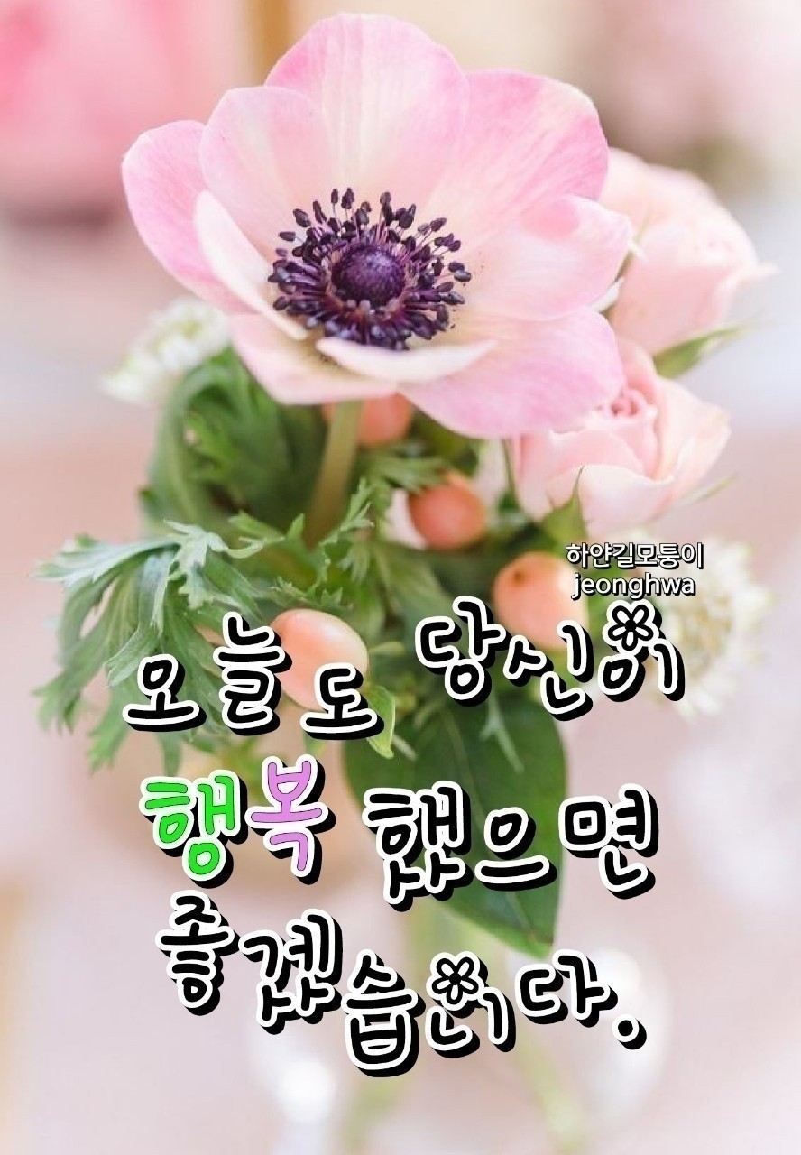 밀밀돈까스 이미지