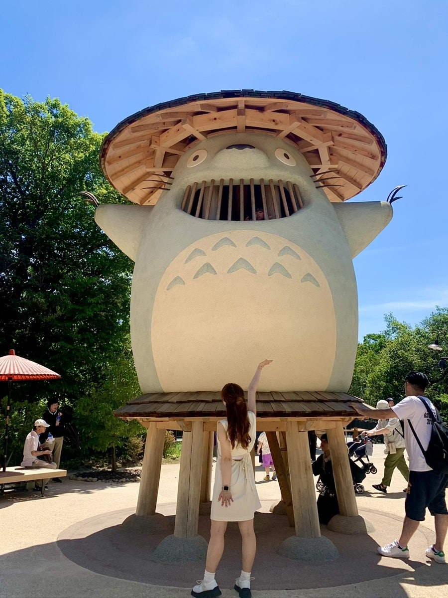 도코데이 이미지