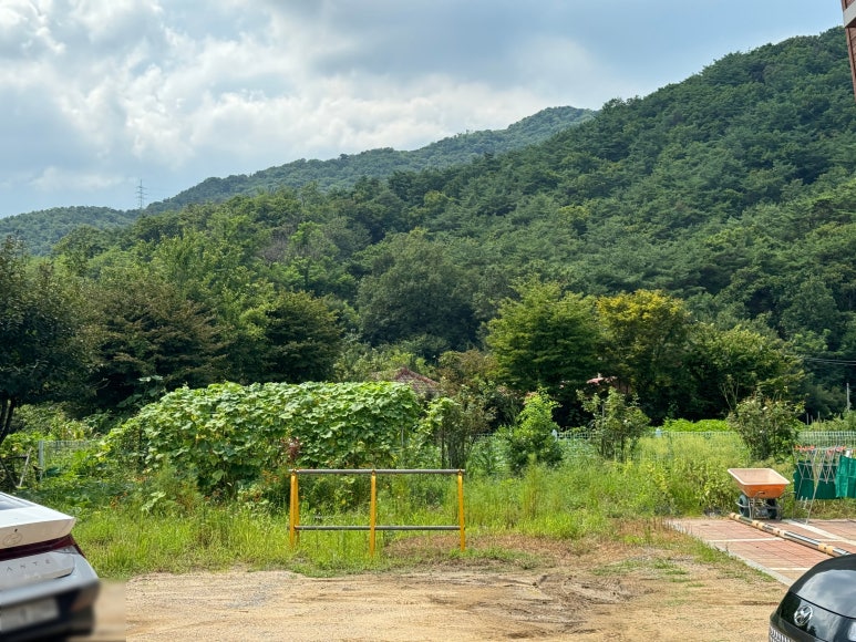 북한산막국수 이미지