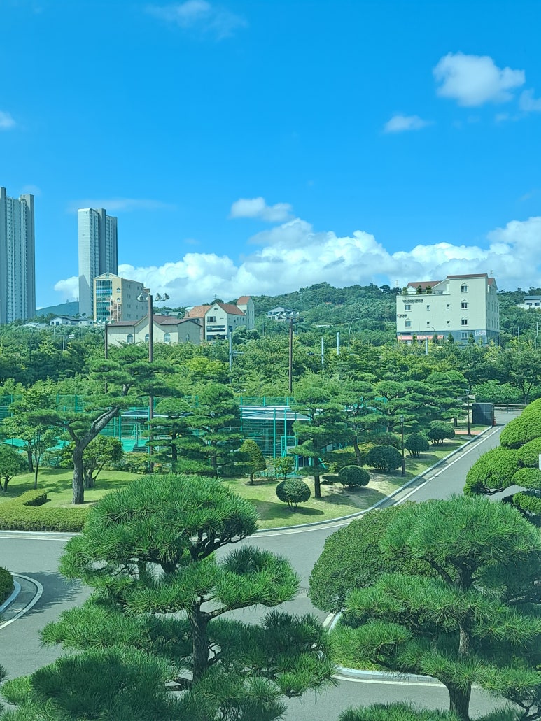 송일관 이미지