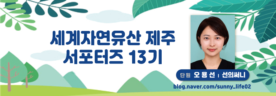 사단법인 제주마을문화진흥원 이미지