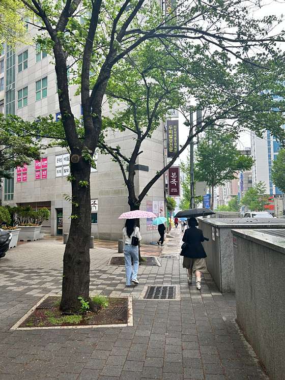 제이제이뷰티 이미지