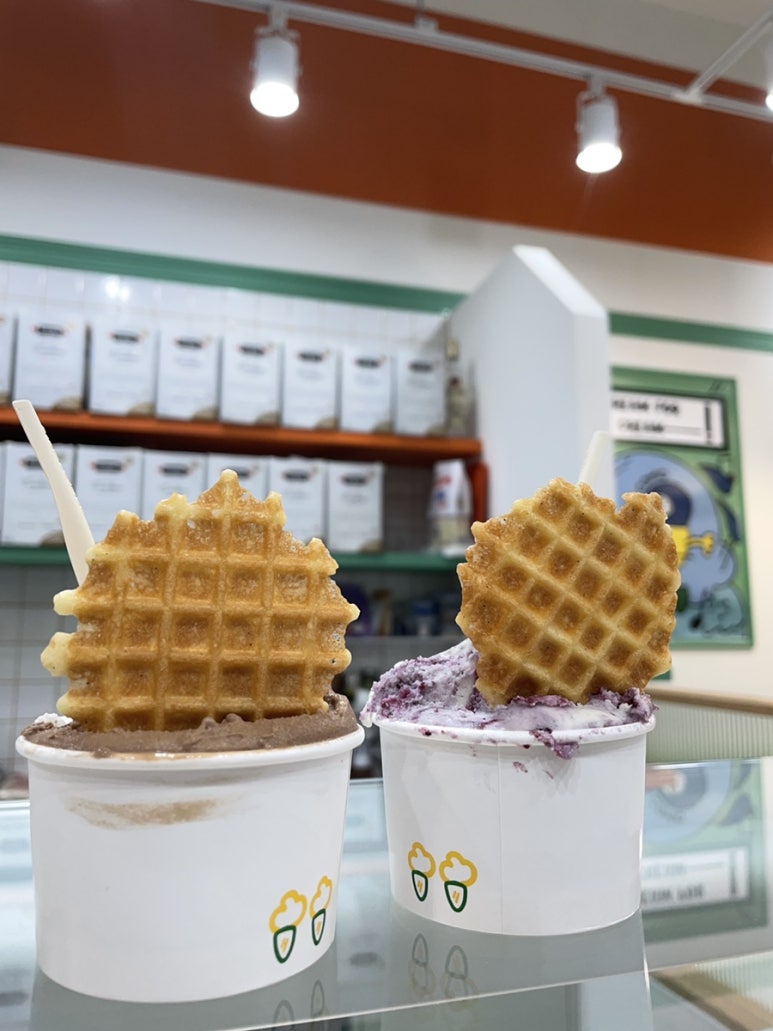 꼬모젤라또 이미지