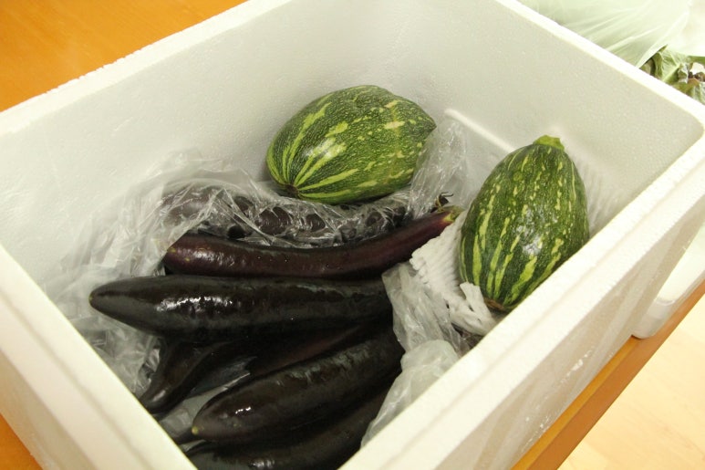 푸른촌 이미지