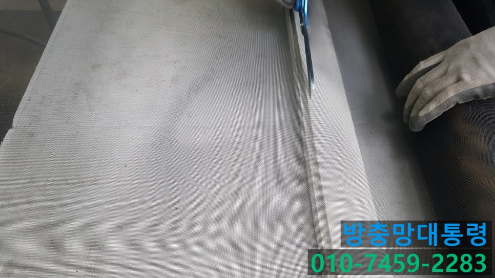 방충망대통령 이미지