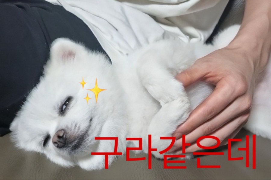 파란나라 이미지