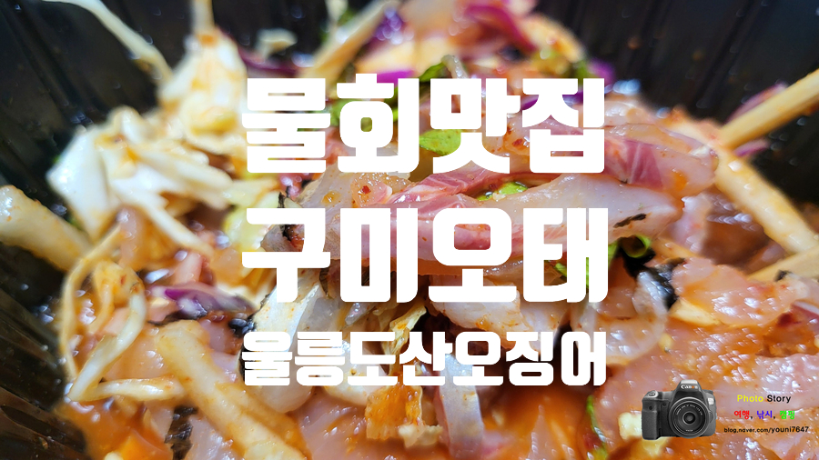 울릉도회산오징어 이미지