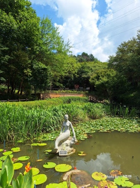 숲속 이미지