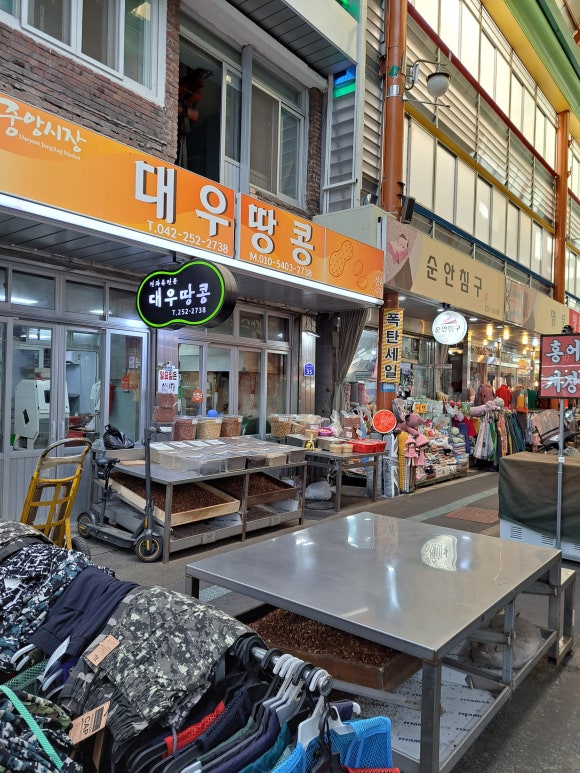 대우땅콩 이미지