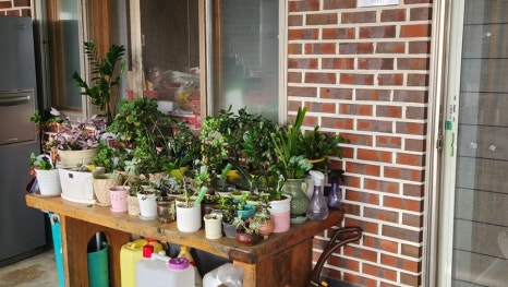 송림민박 이미지