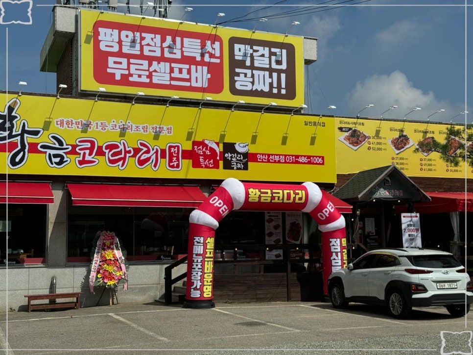 황금코다리안산 이미지