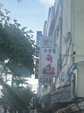 수문통육회 이미지